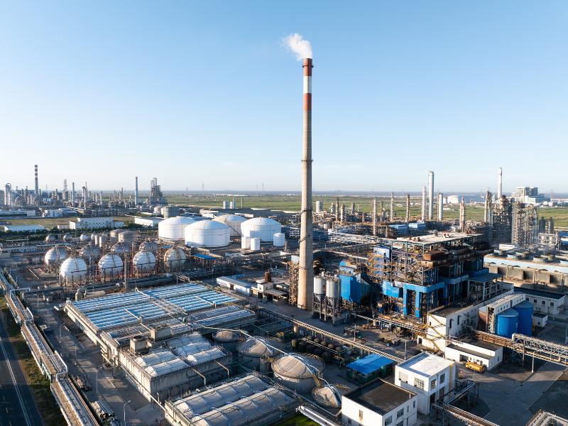 Chemical and Petrochemical